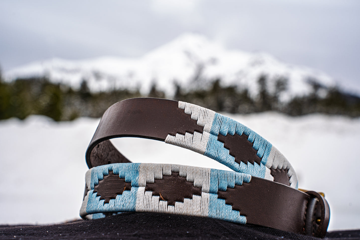 The Argentine Belt