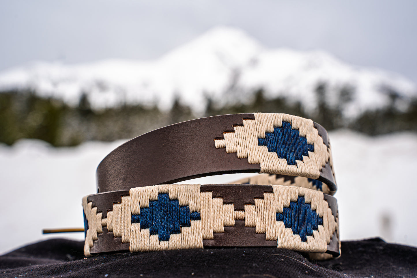 The Patagonian Belt