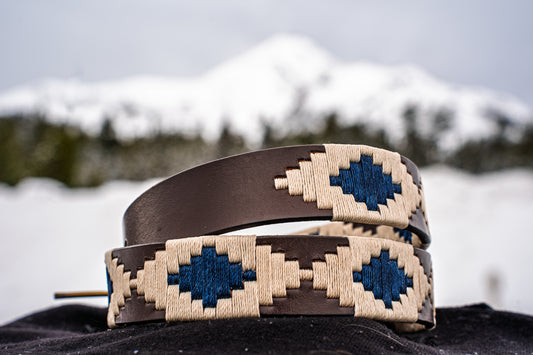 The Patagonian Belt